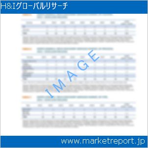 市場と産業調査レポートのイメージ